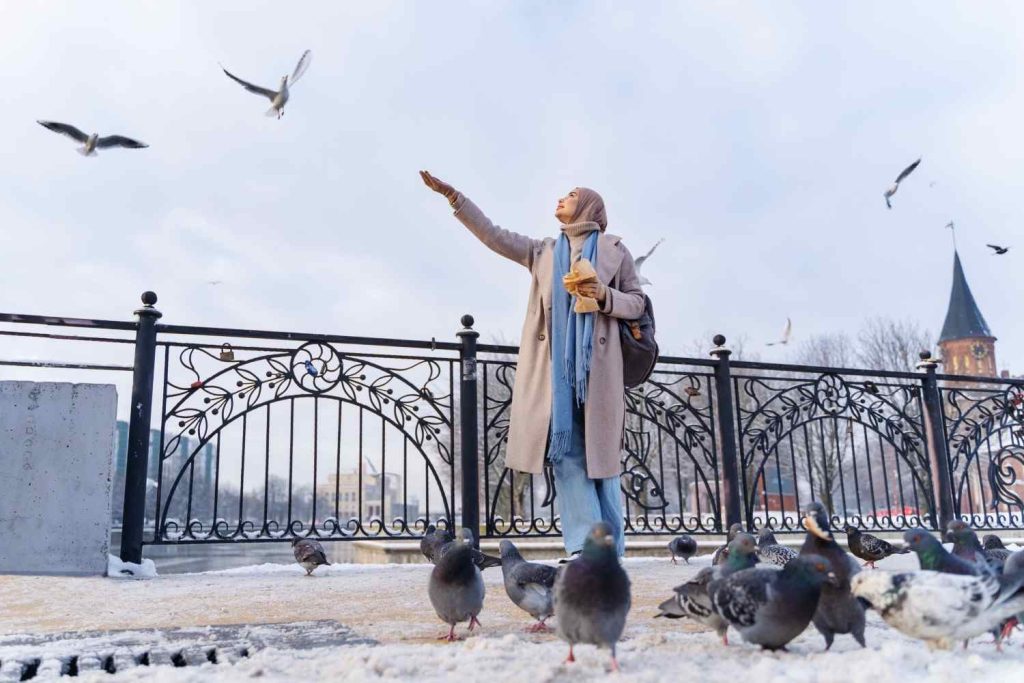 When Saudi Arabia Cools Down: Winter Destinations to Explore